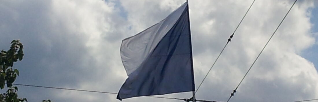 Zürcher Fahne